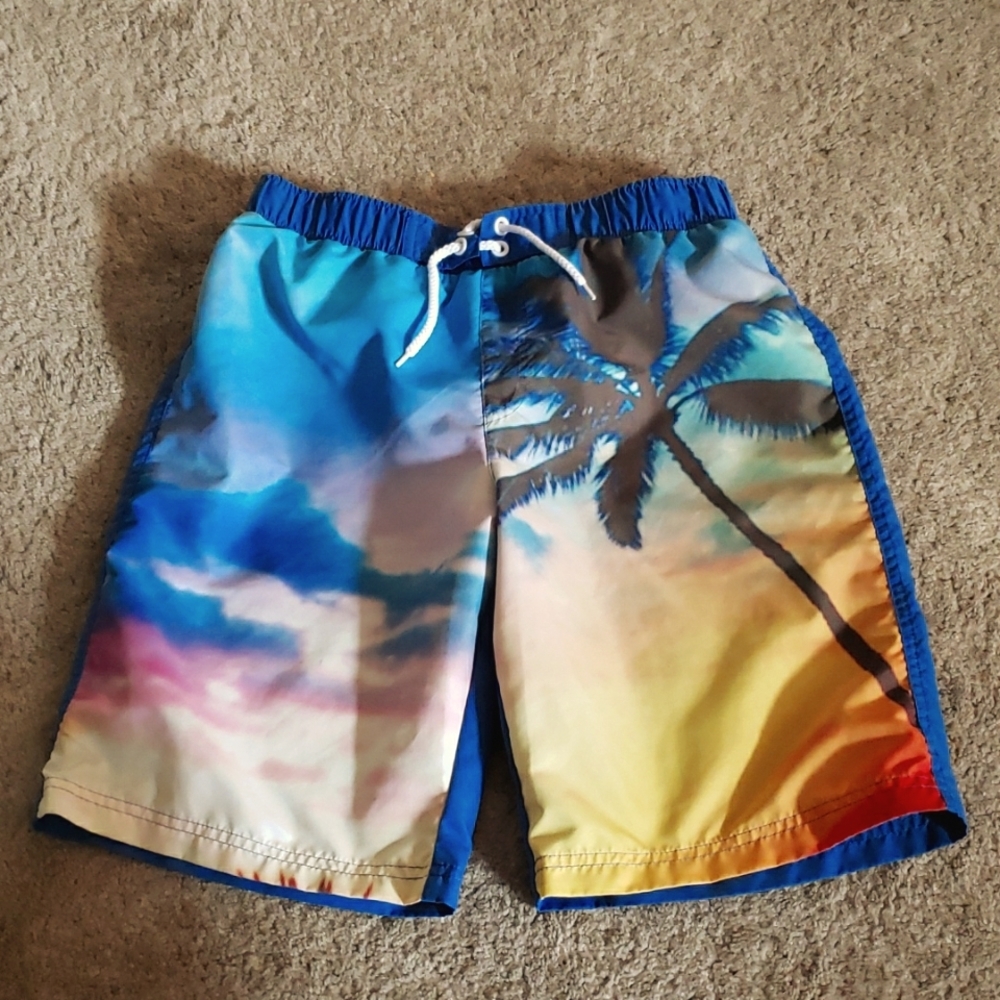 Blue Palm Tree/Sunset Swim Trunks